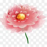 手绘荷花池塘插画