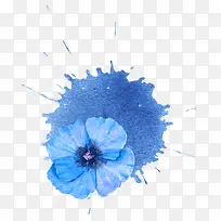 水彩蓝色花
