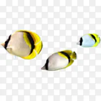 小鱼群卡通黄色海底动物
