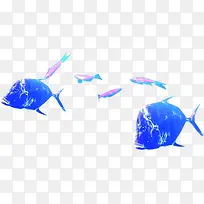 海底动物夏日蓝色小鱼群