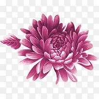 创意手绘素材紫色的海棠花