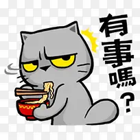 灰色猫咪有事么