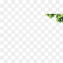 绿色树枝枝叶海报边框装饰