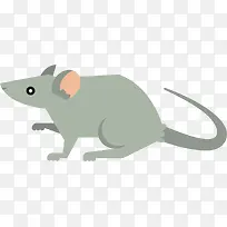 矢量图灰色小老鼠