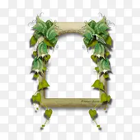 绿色花边边框