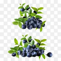 蓝莓新鲜水果主页