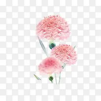 手绘水彩装饰插图母亲节粉嫩花卉