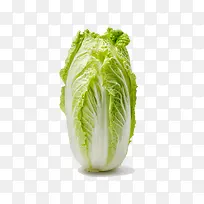 绿色蔬菜白菜