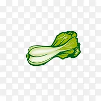 白菜