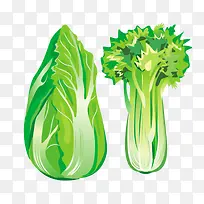 新鲜绿色蔬菜白菜