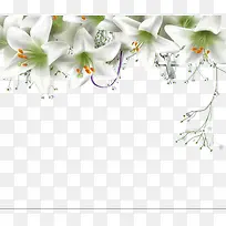 清新百合花装饰素材