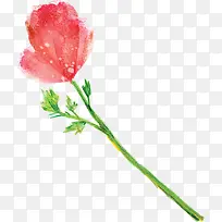 高清彩绘风格红色花朵合成效果