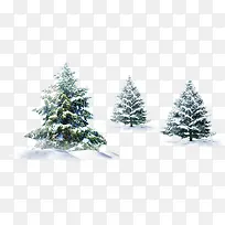 圣诞树装饰美景冬日
