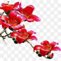 春季红色花朵树枝