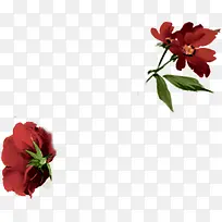 手绘红色婚礼花朵