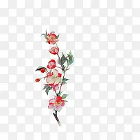 花朵彩绘花朵红色花朵装饰图