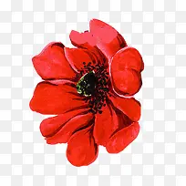 红色手绘鲜艳花朵