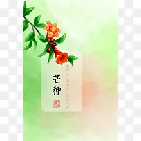 红色花朵节气芒种