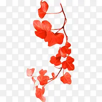 红色花朵花枝树枝