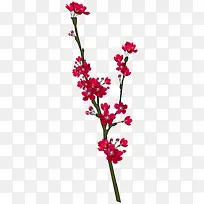 红色花枝花朵装饰