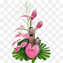 红色花朵绿色枝叶植物