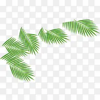 绿色椰子树叶海报