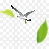 海鸥飞翔的海鸥绿叶装饰的海鸥