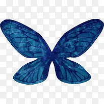 蓝色蝴蝶翅膀