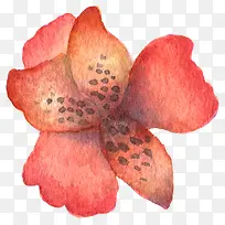 超唯美清新森系水彩红色花朵