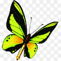 创意合成飞舞的绿色花蝴蝶