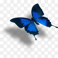 蓝色卡通蝴蝶造型