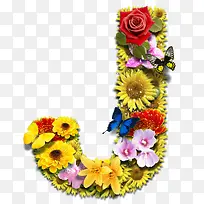 鲜花字母J