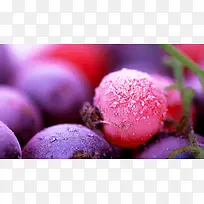 粉紫色高清水果冰花