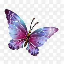 紫色蓝色翅膀蝴蝶