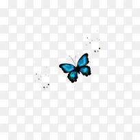 漂浮的蓝色蝴蝶