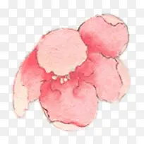 粉红桃花花朵装饰
