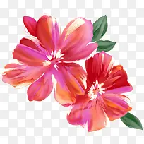 彩绘粉红两个花朵