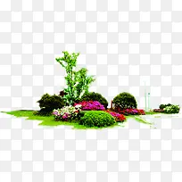 春天景观公园植物装饰