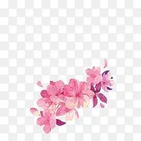 花朵粉红花朵彩绘花朵