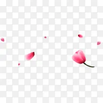 花朵粉红花朵漂浮