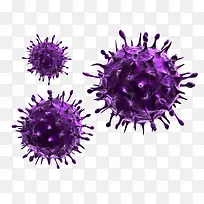 紫色病毒