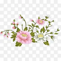 粉红彩绘花朵装饰图片