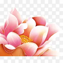 手绘高清粉色九月菊
