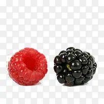 山莓黑莓果实