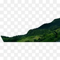 山