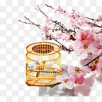 桃花盛开