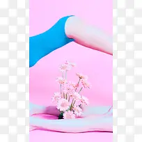 粉色雏菊上身体中秋