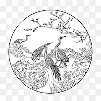 矢量鸟类