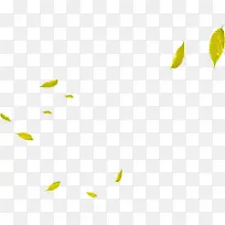 春季漂浮黄色树叶