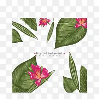彩绘热带植物花卉背景